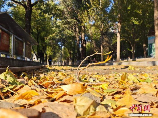 �S��54·��܉�܇�ؾ��h(hu��n)��������������߅�L(f��ng)ò�����������S���~䁝M·�������� ���z