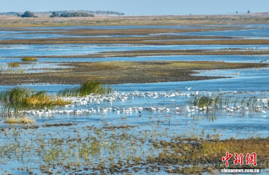 10��16��������ĪĪ����Ҽ�(j��)��Ȼ���o(h��)�^(q��)��(n��i)�������ڑ�ˮ��(�o�˙C(j��)��Ƭ)�w��� �z