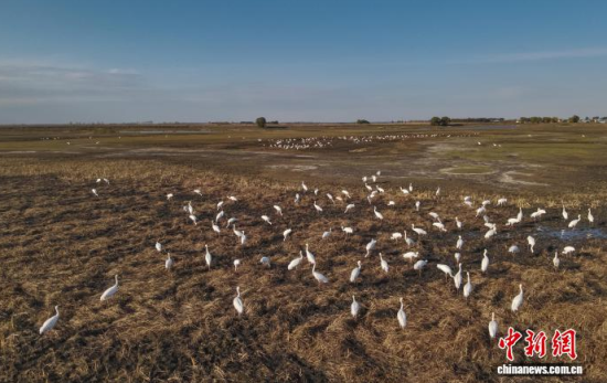 10��16�գ��ڼ���ĪĪ����Ҽ�(j��)��Ȼ���o(h��)�^(q��)��(n��i)���Q����Ϣ��(�o�˙C(j��)��Ƭ)�w��� �z