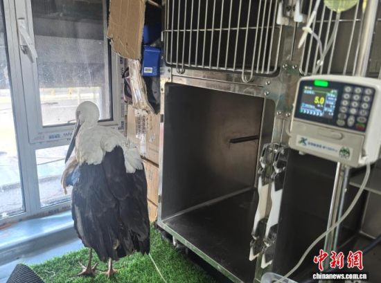 �܂��Ė|�����X���ڽ���ݔҺ�ί�����ʯ���� �z