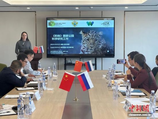 ���_˹��(zhu��n)�ҷ������o(h��)�|������(j��ng)�(y��n)�������� �z