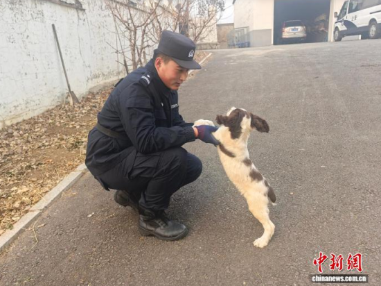 ���Ҳ������c�[�����B(y��ng)�H�ܶ�����ʯ���� �z