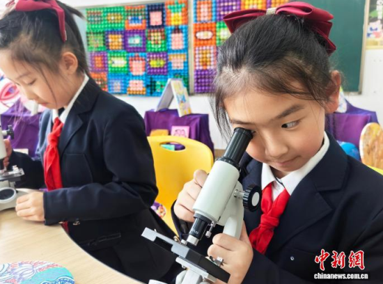 �W(xu��)��ͨ�^�@΢�R�^���G�~��(x��)������ʯ���� �z