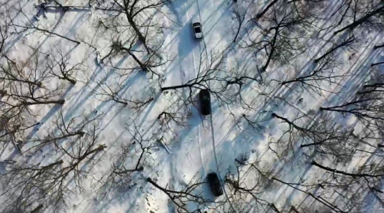 ���c���{܇��Խɭ���� �Ժ���ί���������D