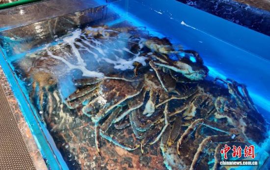 ���B(y��ng)����ĵ���з����߅��ί������ ���D