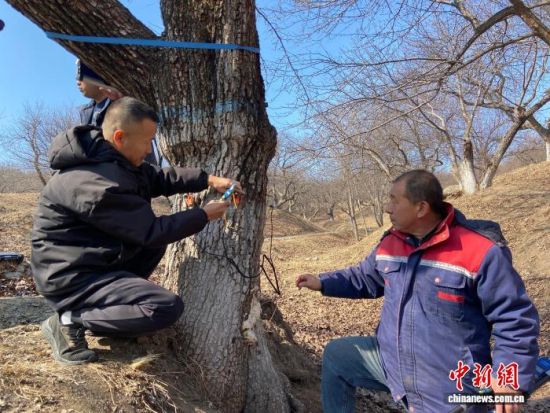 �����ˆT���ڌ�(du��)��������������w�z�������� �z