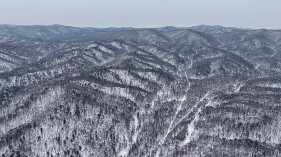 ���AƤ���(zh��n)ĵ���X�� �������ý�w���Ĺ��D