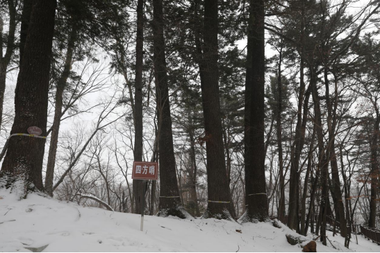 �ķ��������ڵ��� �������ý�w���Ĺ��D