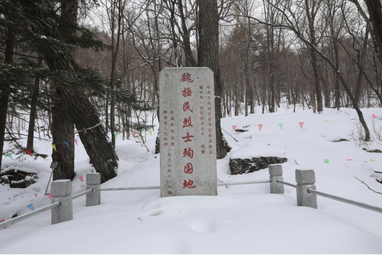 κ������ʿѳ���صļo��� �������ý�w���Ĺ��D