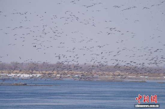 �B(ni��o)�(l��i)�^(gu��)�������Ժ��������� �z