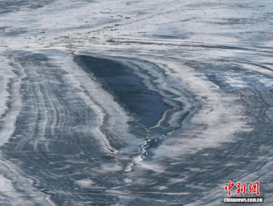 3��16���������(zh��n)�l�������������������B(ni��o)ͣЪҒʳ���������� �z