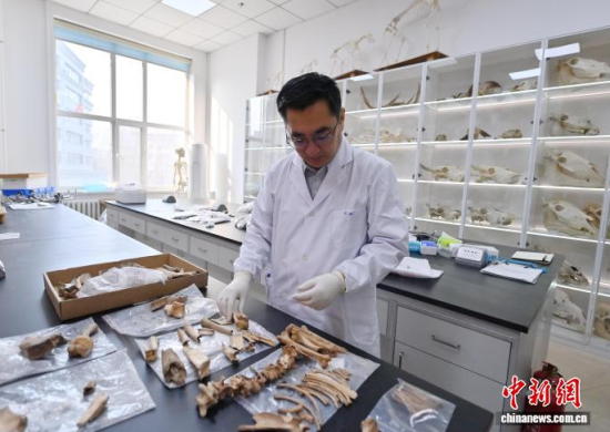 3��20���������L(zh��ng)�����̴�������ӱ��������� �z