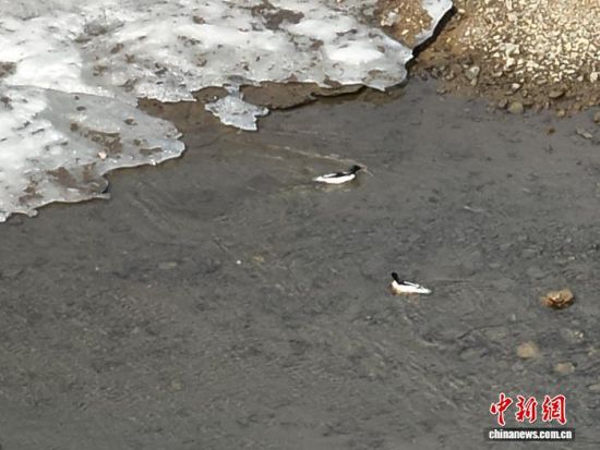 ���A��ɳ���ڼtʯ�օ^(q��)ˮ�������������L(zh��ng)��ɽɭ�����F(tu��n)�tʯ�֘I(y��)���޹�˾���D