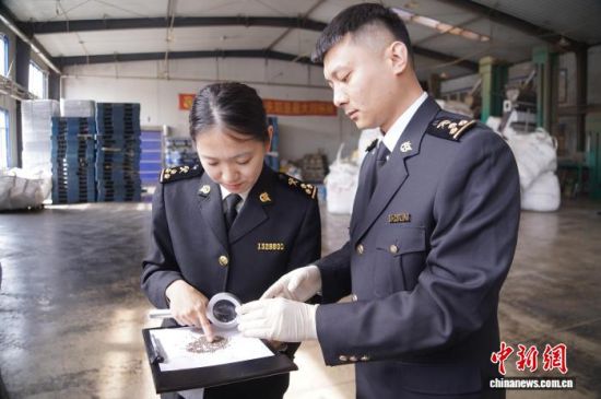 �L��ɽ���P(gu��n)�P(gu��n)�T�_չ�����K�Ѳ�����L�����P(gu��n)���D