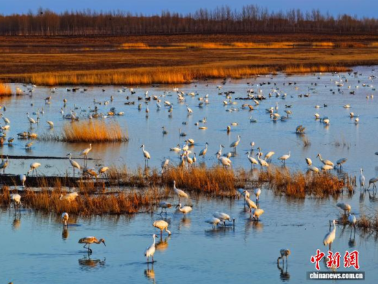 4��11�գ������(zh��n)�l�����Q����ϡ�B���ĪĪ����Ғʳ���������� �z